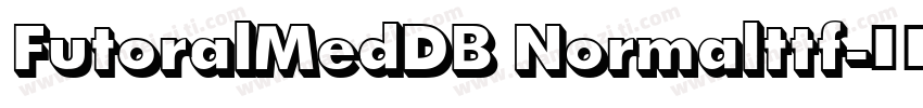 FutoralMedDB Normalttf字体转换